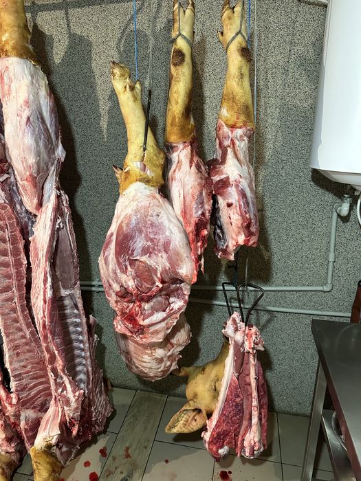 Продаю тушки та півтушки домашньої свинини.