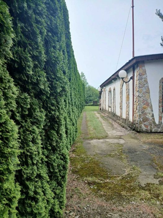 Sprzedam działkę o powierzchni 0,5 h z budynkiem o pow. 360 m2.