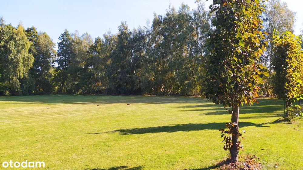 Chorzeń Kameliowa, MPZP uzbrojone