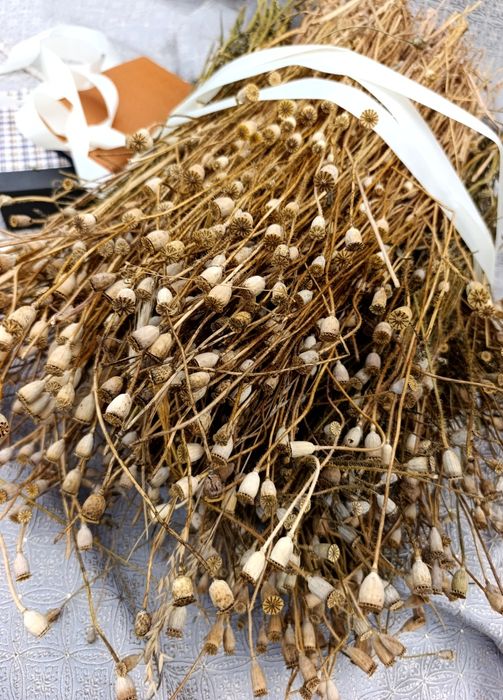 Колоски пшениці,жита,льон та сухоцвіти