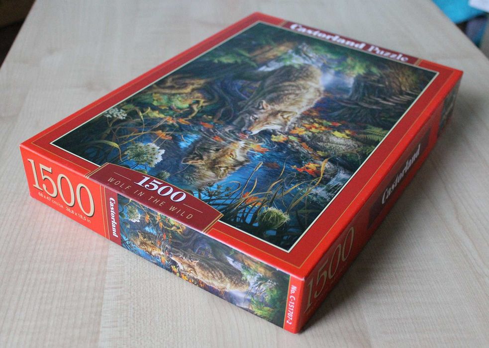 puzzle 1500 CASTORLAND wilk w lesie wolf in the wild 100% komplet