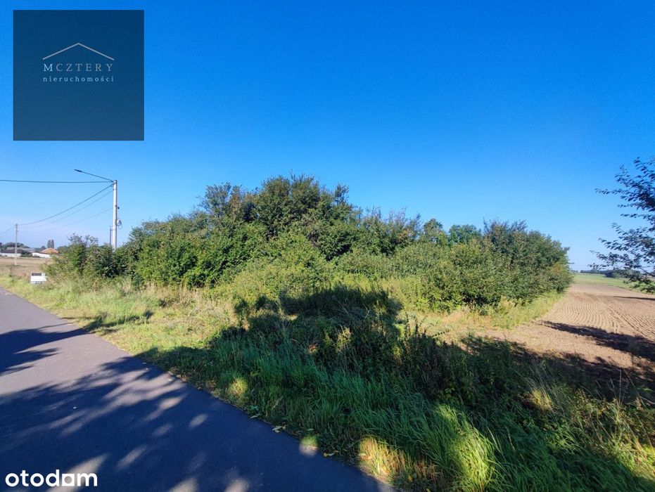 Sprzedam dużą działkę pod siedlisko lub dom/3998 m² - Widok 2