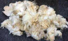 Овеча шерсть вовна