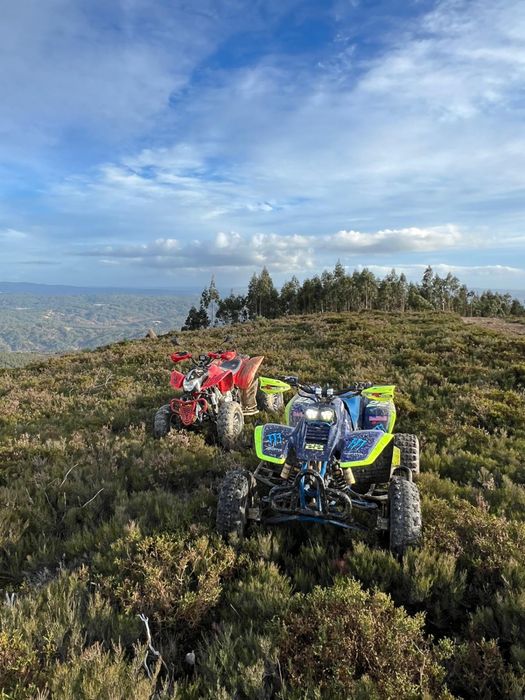 Yamaha Warrior 350