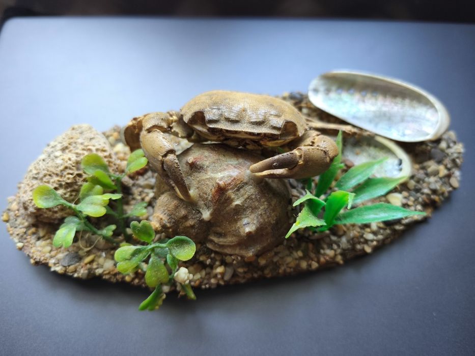 Статуетки, оздоба для акваріума