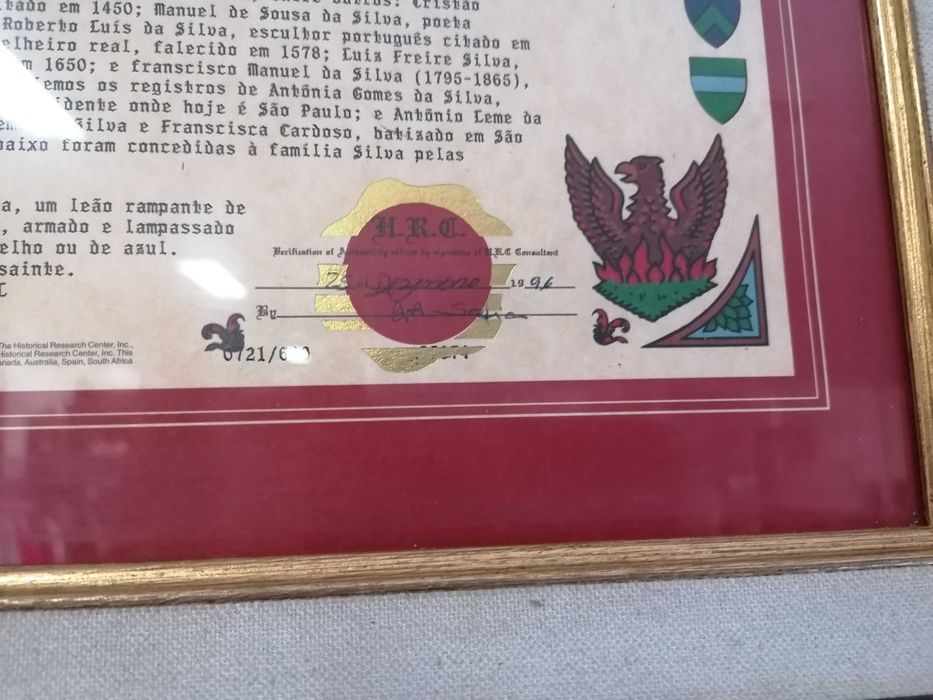 Moldura com história do nome de família Silva