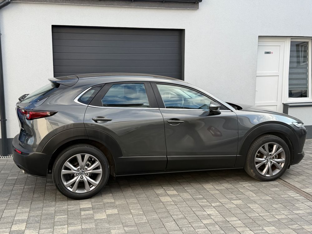 alt