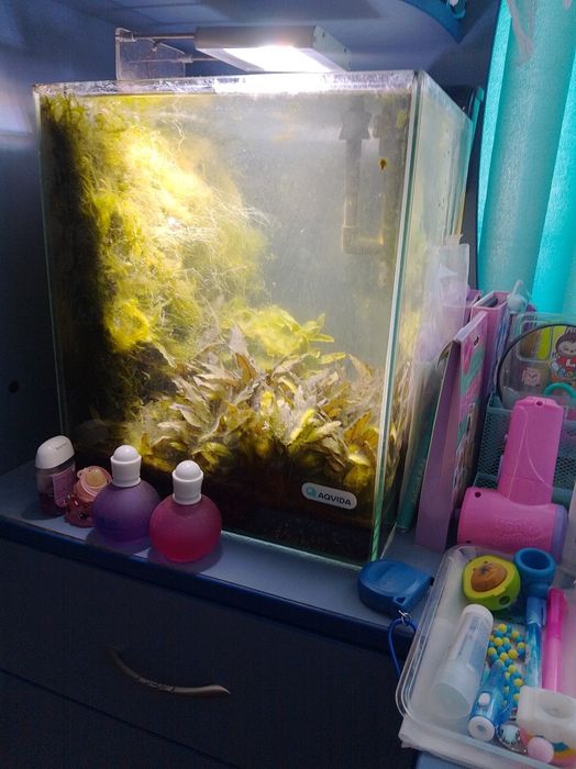 Аквариум для криветок 32л