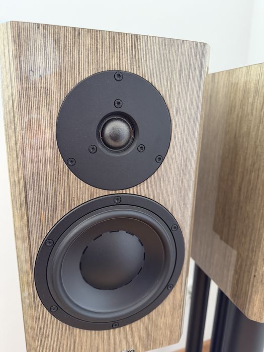 Kolumny Dynaudio Special 40