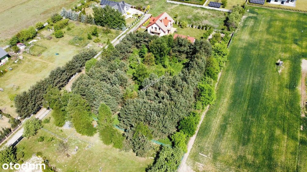 Działka z wydanymi WZ na dom jednorodzinny - Wilanów obok Jędrzejowa - Widok 3