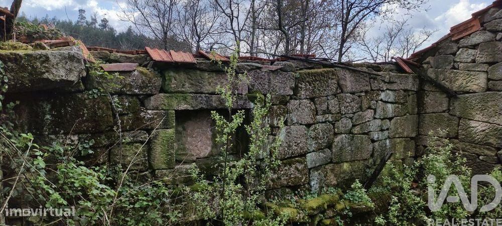 Casa rústica em Cambra e Carvalhal de Vermilhas de 3971 m2