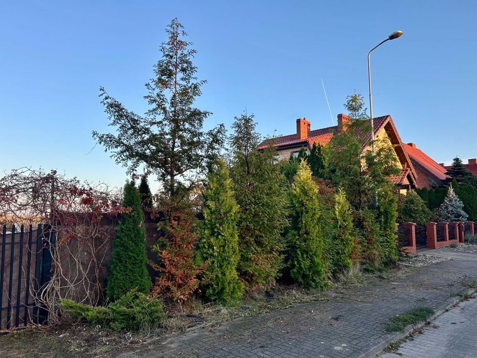 ogrodzenie z siatki z bramą, furtką i roślinami długość 20m