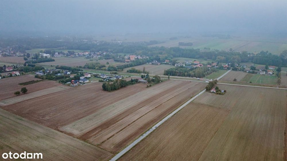 Zdjęcie 4