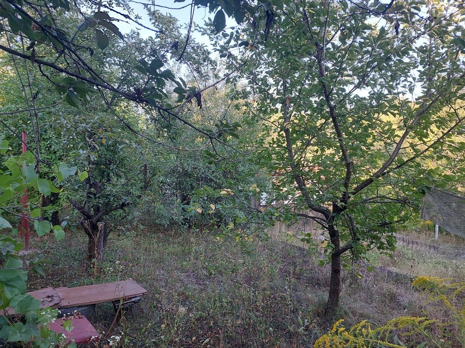 Продам дачу в Солоницевке