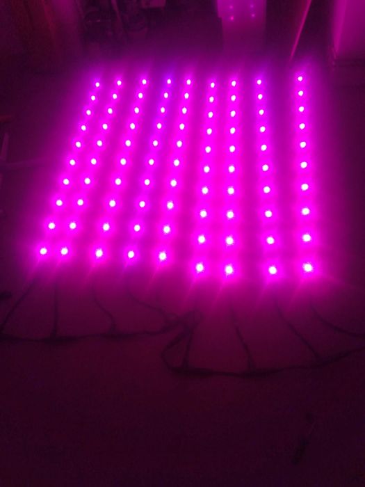 Lampy led grow philips