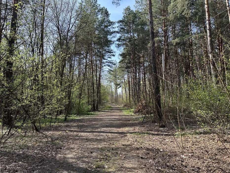 Ділянка 1 гектар в елітному районі Дмитрівки, ліс, асфальт, електрика