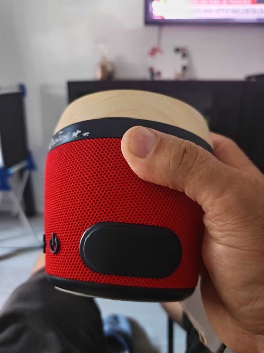 Coluna de som Disney rei leão