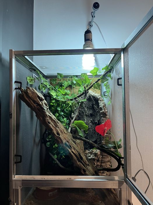 Terrarium dla gadów, kameleona