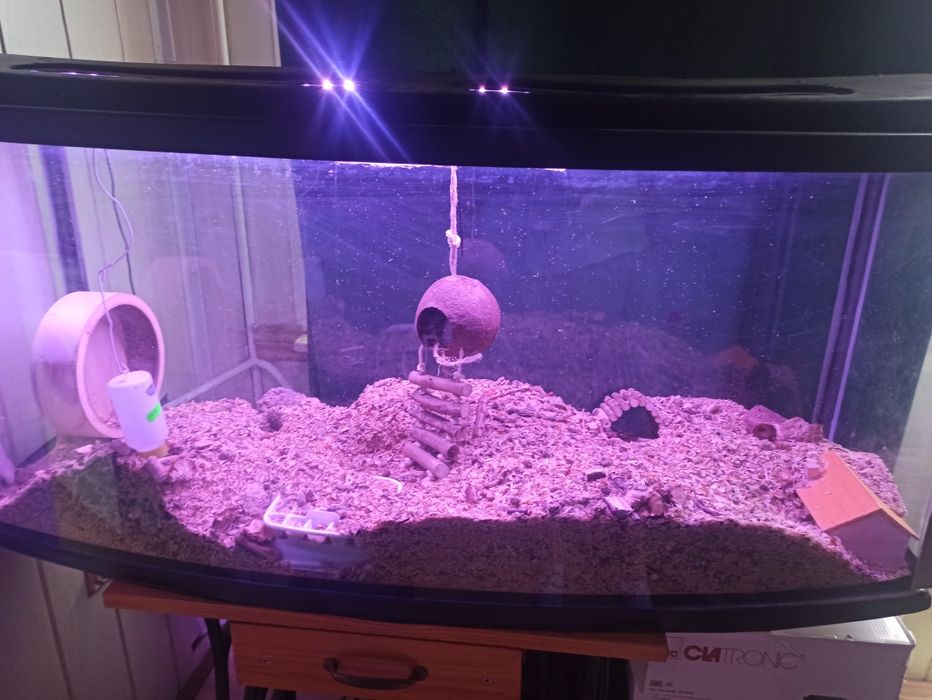 Terrarium 240 l panorama wyposazone