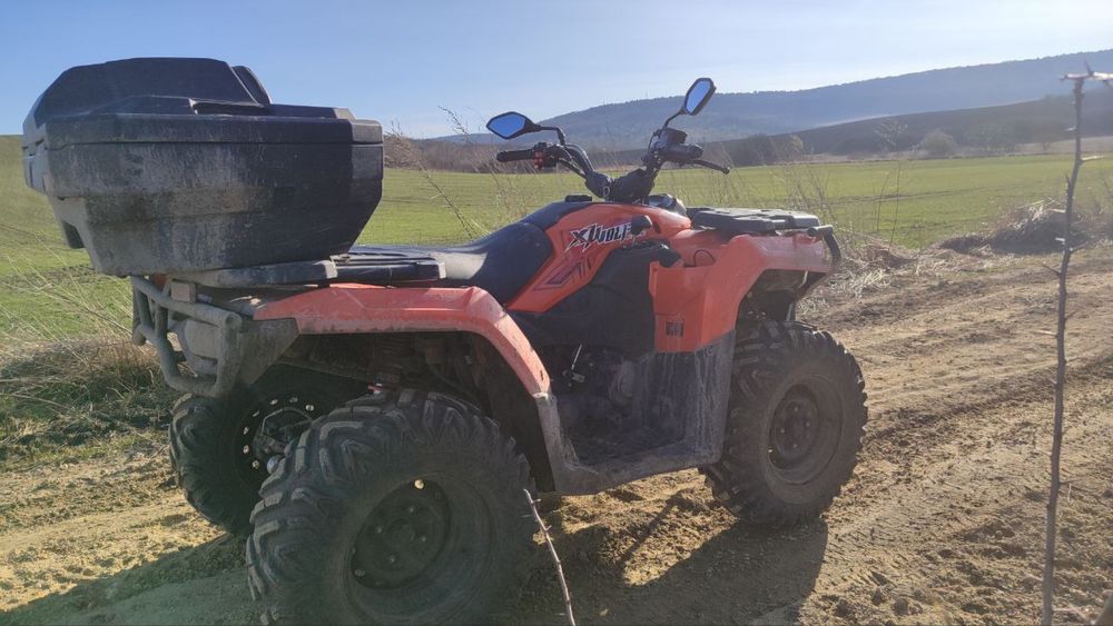 Квадроцикл Loncin Xwolf 300 IFE