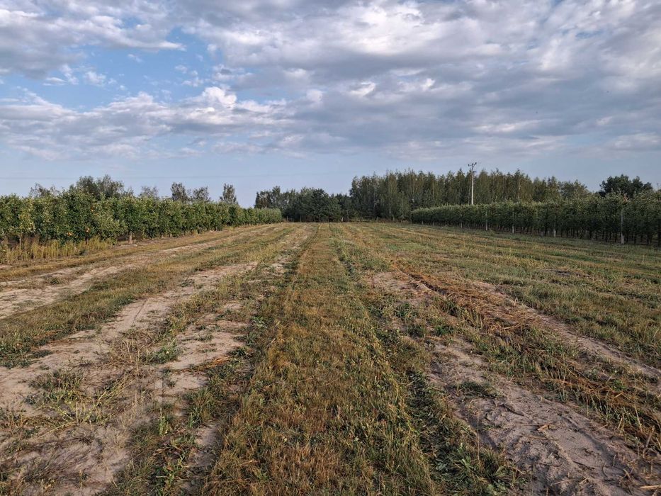 Sprzedam Działkę Rolną 2.78 ha