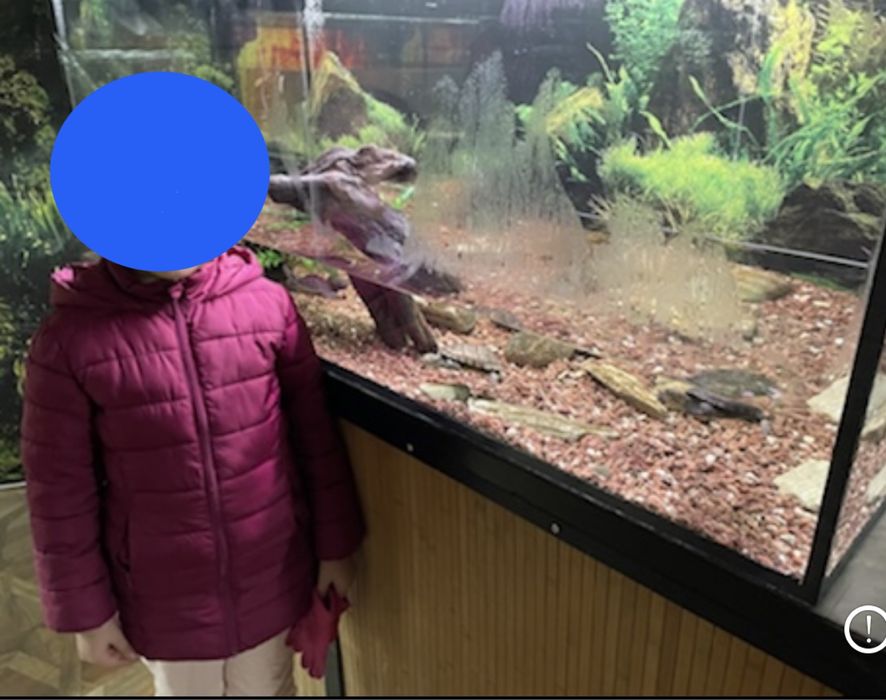 Курточки (зима)