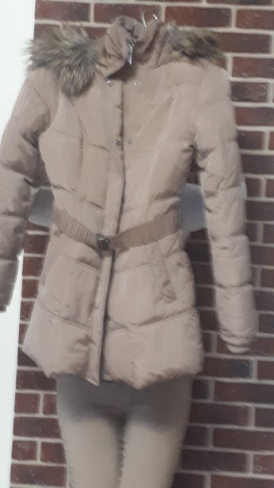 Kurteczka zimowa S