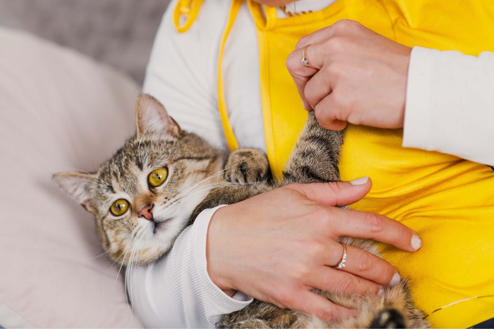 Dwu letnia Bunia szuka domu!