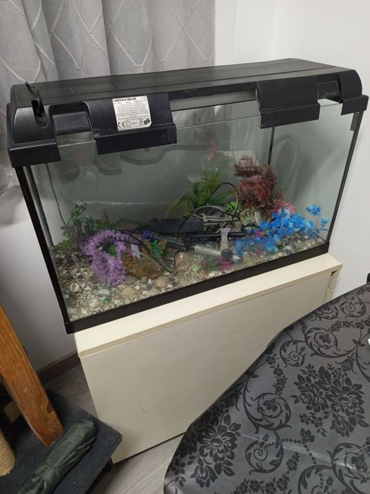 Aquário usado com tudo incluído