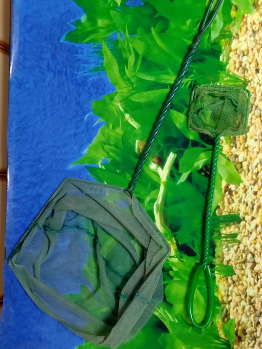 Acessorios para aquario de peixes