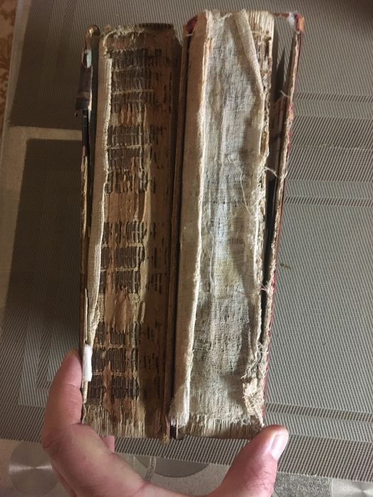 Книги жизнь животных  Брема .