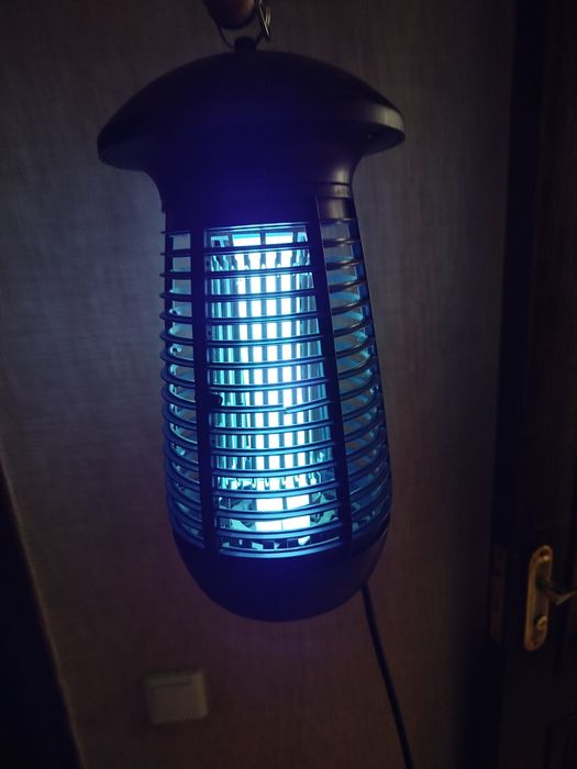 Знищував комах вулиця-дім