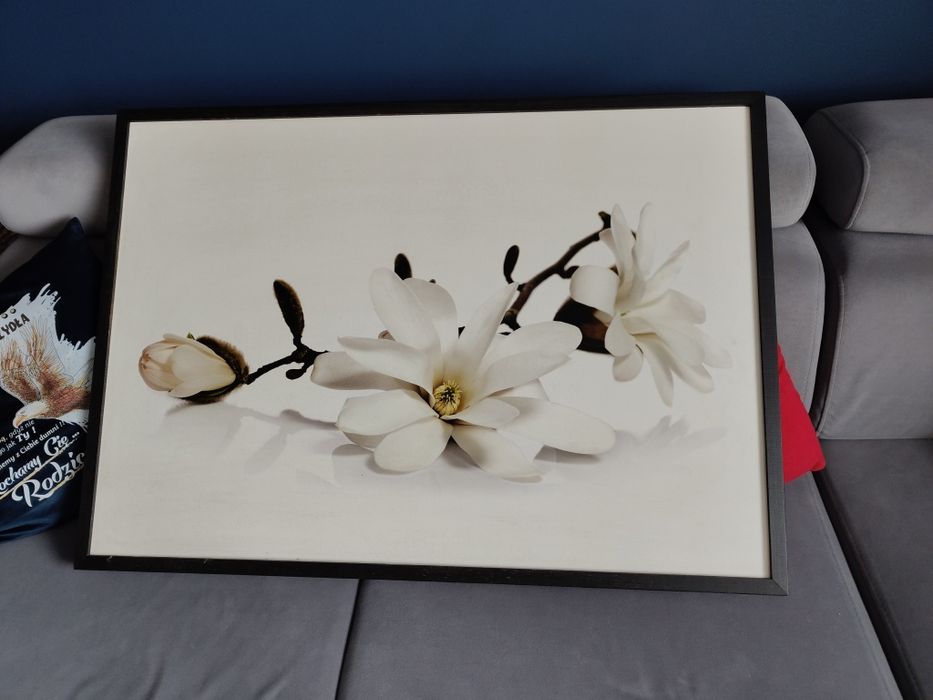 Obraz orchidea polecam