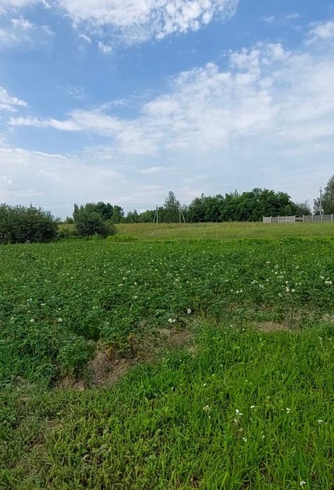 Продам дачу в селі Кіїнка