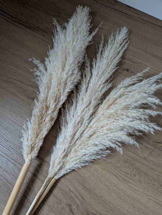 Wazon Jysk i 3 trawy pampasowe - boho