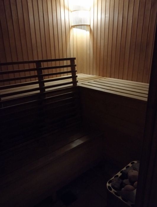 Дом с баней, ремонт, мебель. Владелец.