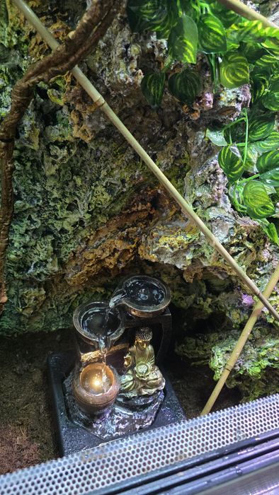 Terrarium dla gekona kameleona jaszczurki agamy terra wodospad