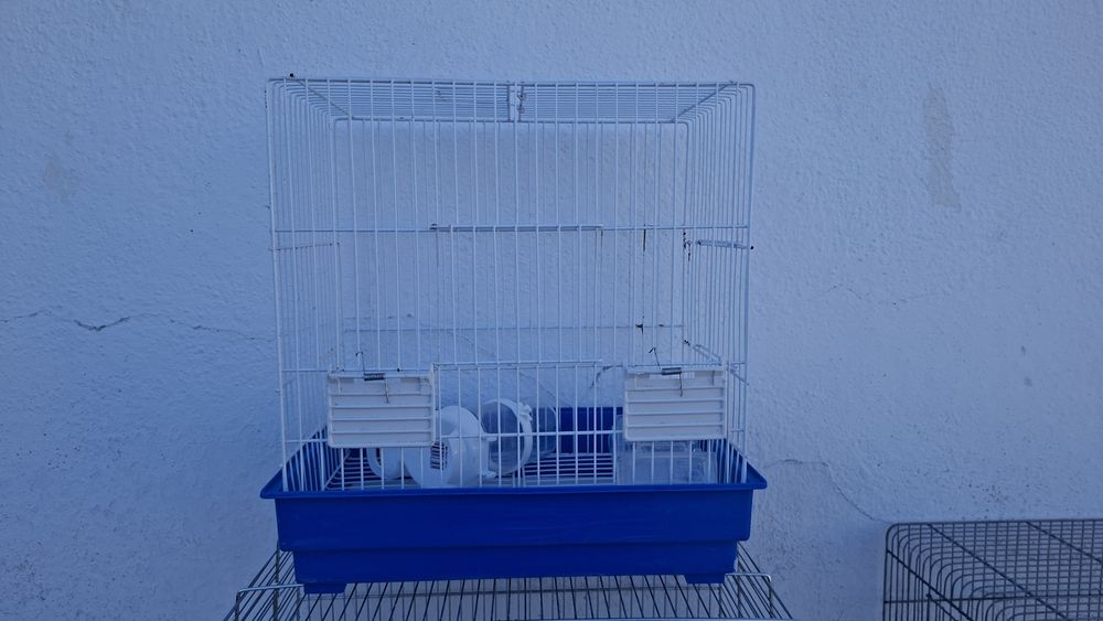 Gaiolas para Aves