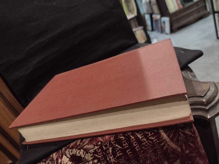 Dois Romances: Humilhados e Ofendidos / Um jogador - F. M. Dostoiévski