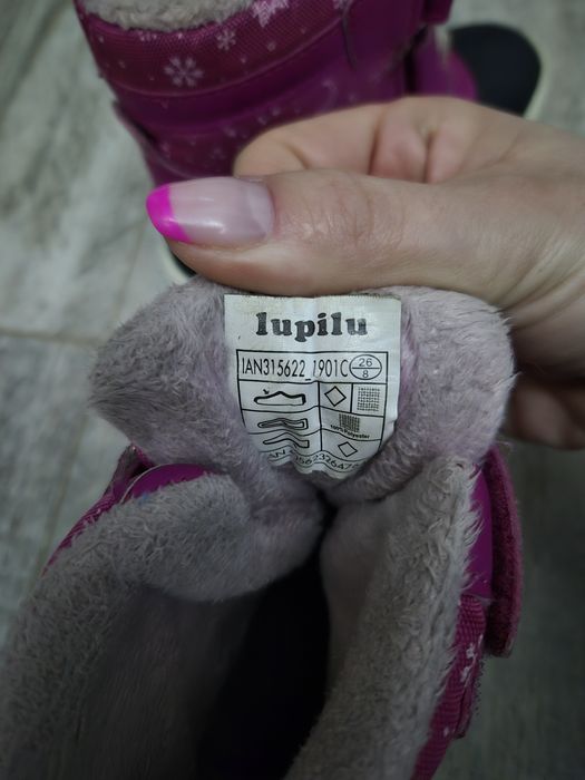 Śniegowce lupilu 26