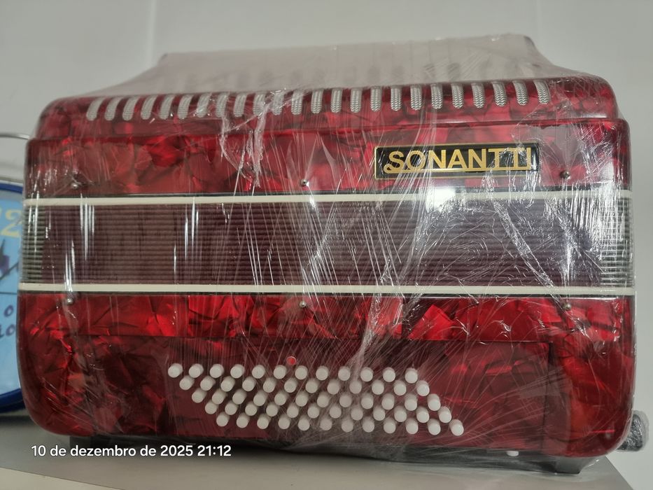 Acordeon instrumento musical