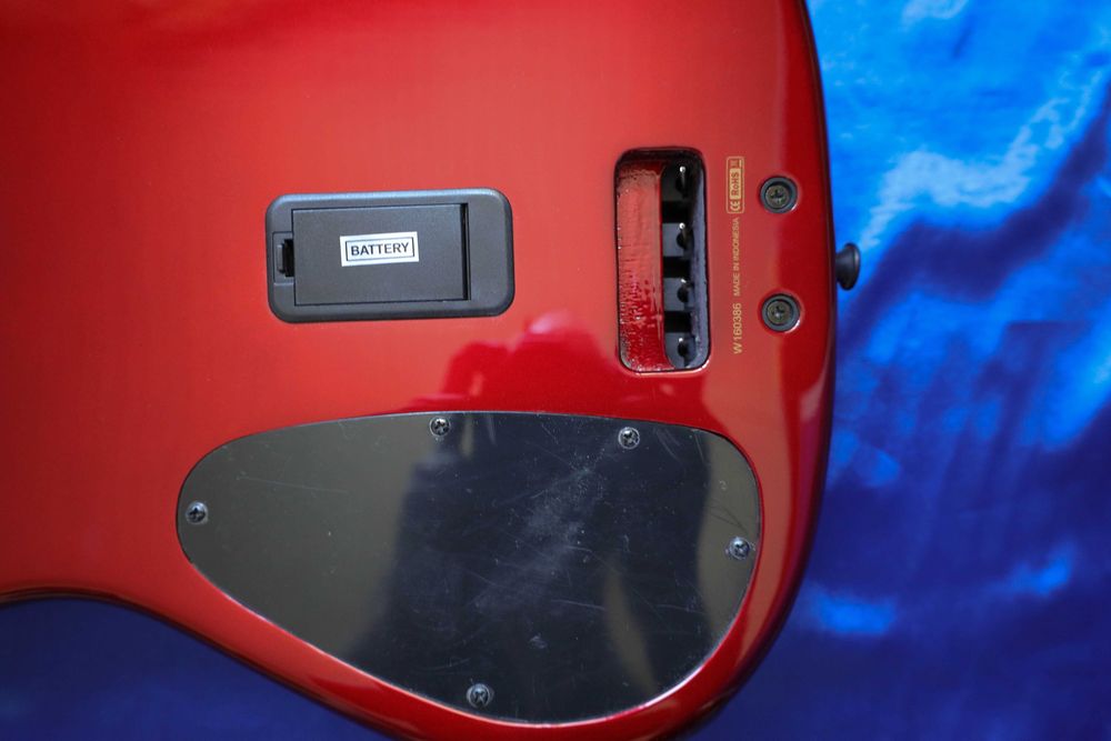 NS Design WAV4 Radius Bass 2016