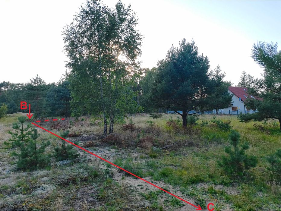 Działka budowlana 1300 m² | Gutowiec | las, media, MPZP - Więcej