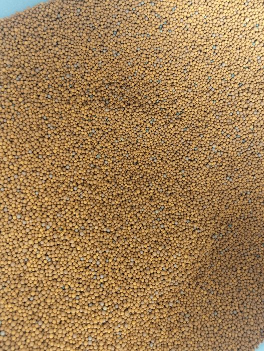 Substrato para aquario  areia diatomácea preta avulso