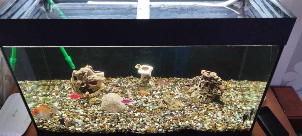 Акваріум б/у на 140 л + лампа