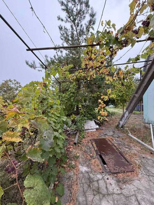 Продаv Дачу в садовом товариществе «Днепр»