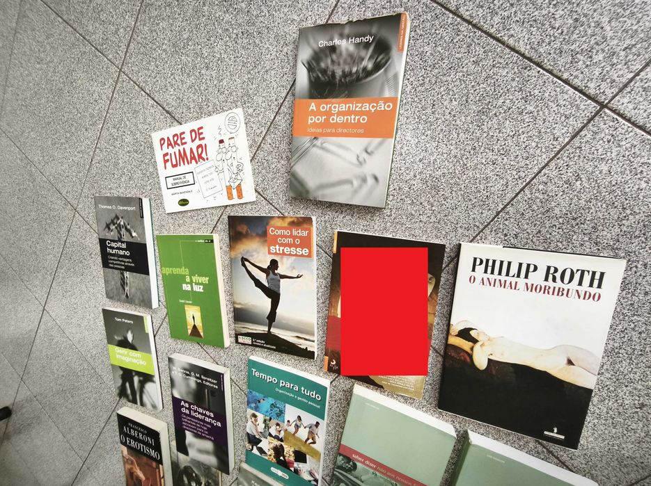Livros Diversos - Ver Descrição - livros 2