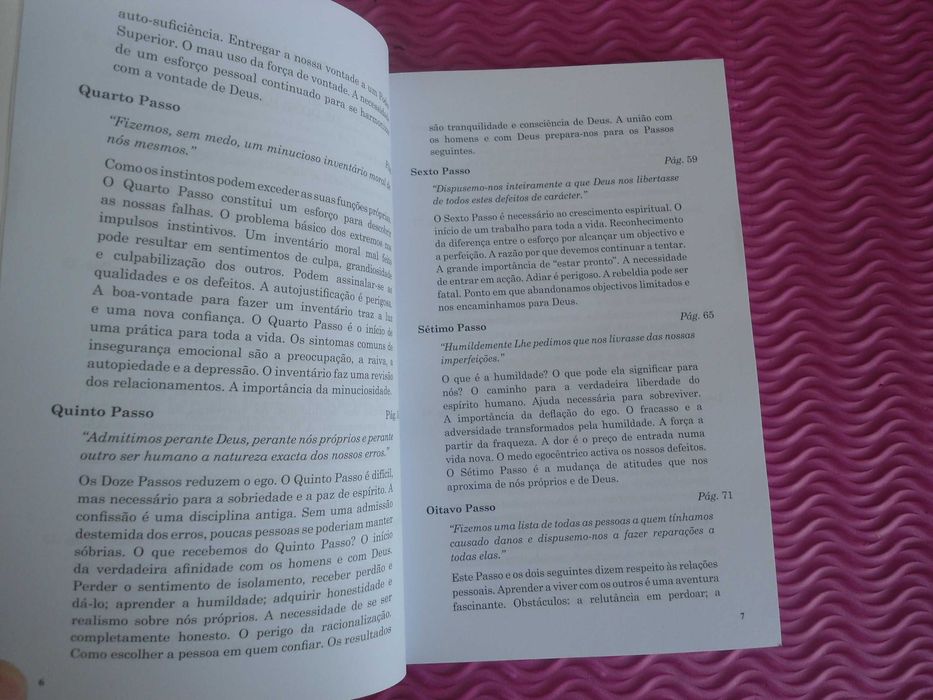 Doze passos e Doze tradições