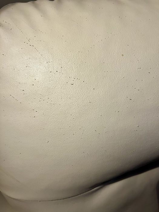 Sofá com Chaise Longue