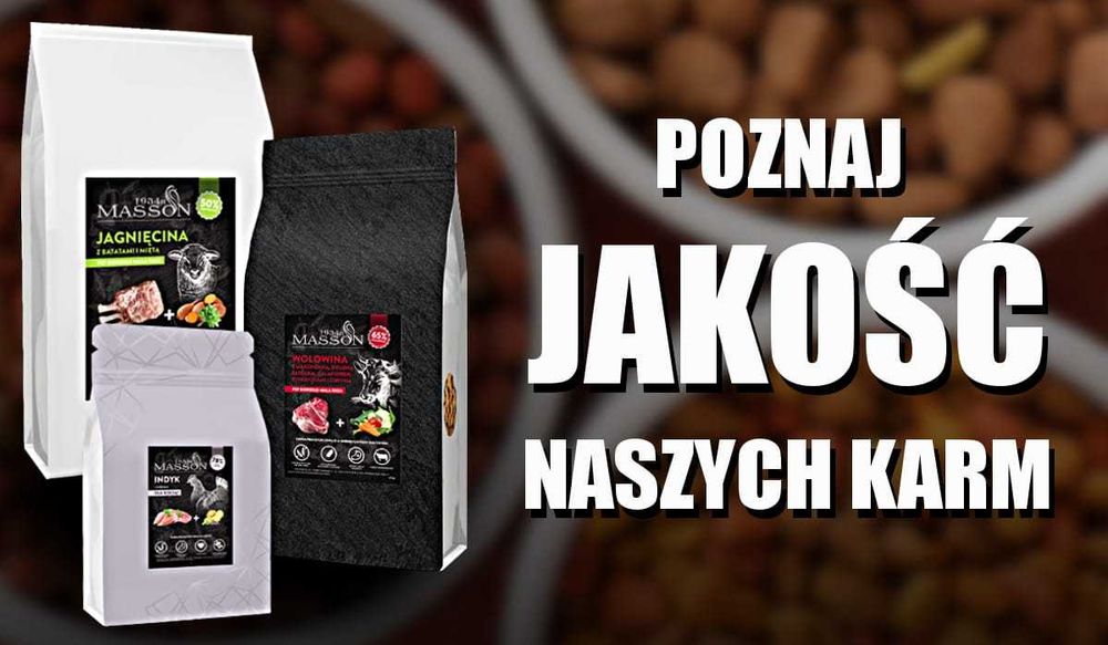 Sucha karma Bezzbożowa i Hypoalergiczna Light Masson indyk 2kg